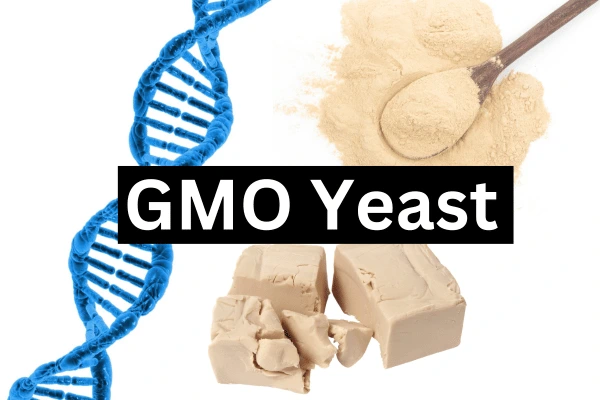 Genetically modified yeast (GMO yeast) for use in food